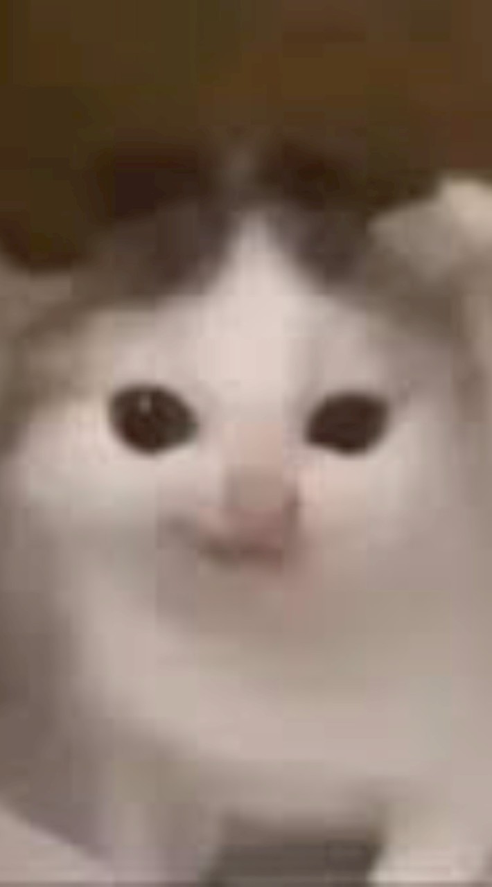 瓊瓊的小弟小妹們