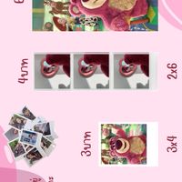 ตัวแทนโพลาลอยด์💗