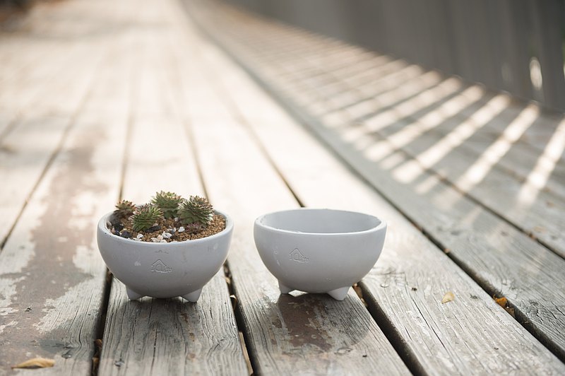 碗的外型水泥花器，適合種植4吋盆植物。