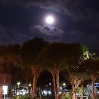 就聊天吧