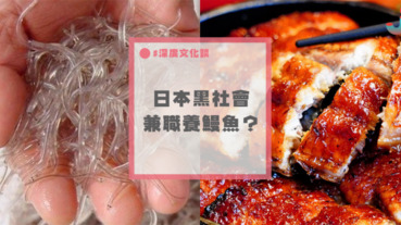 日本黑社會兼職養鰻魚？背後可是數以億計的收入來源～