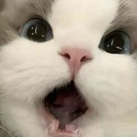 NEW⭐50代から始まる物語
