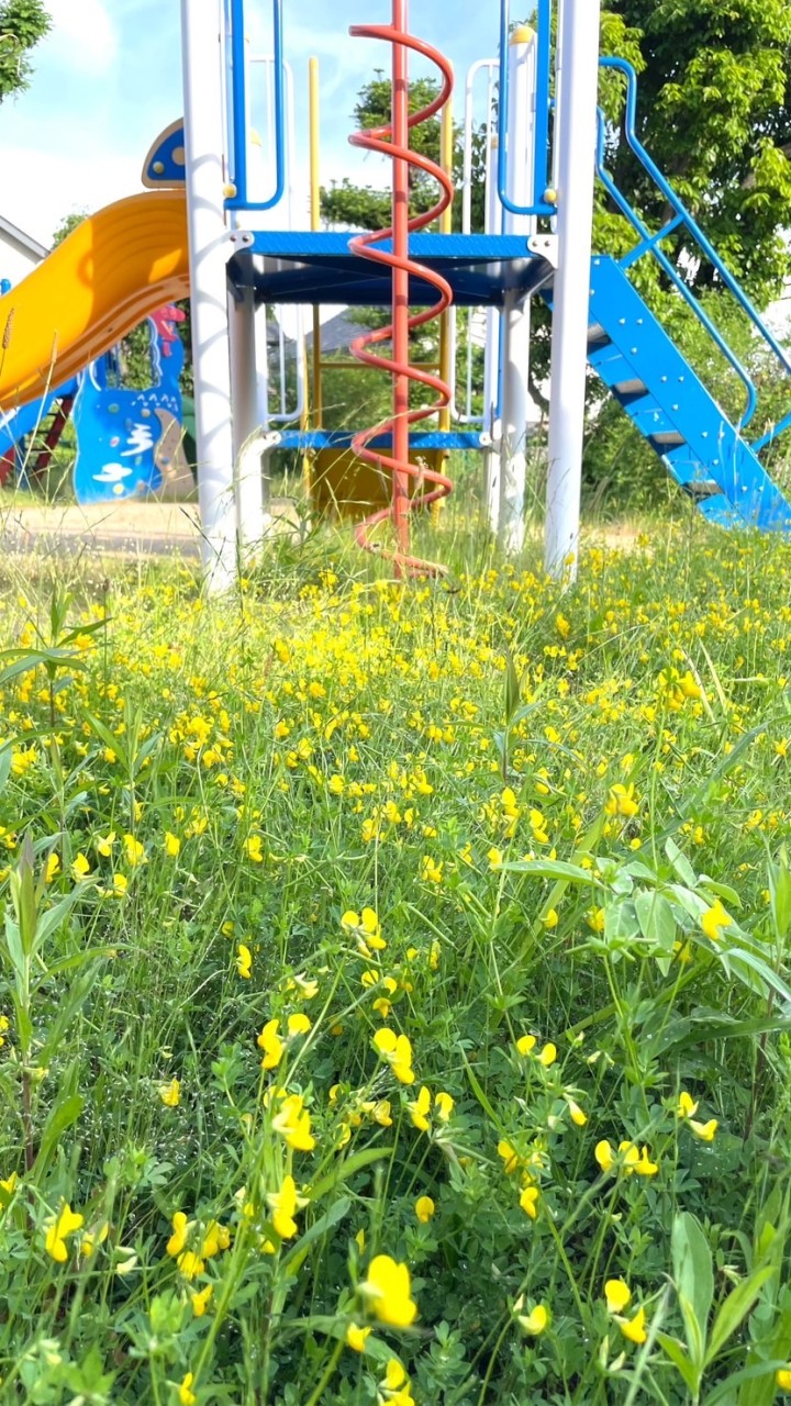 遊園公園の会