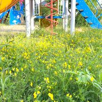 遊園公園の会