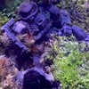 ガンプラ、その他プラモ交流部屋