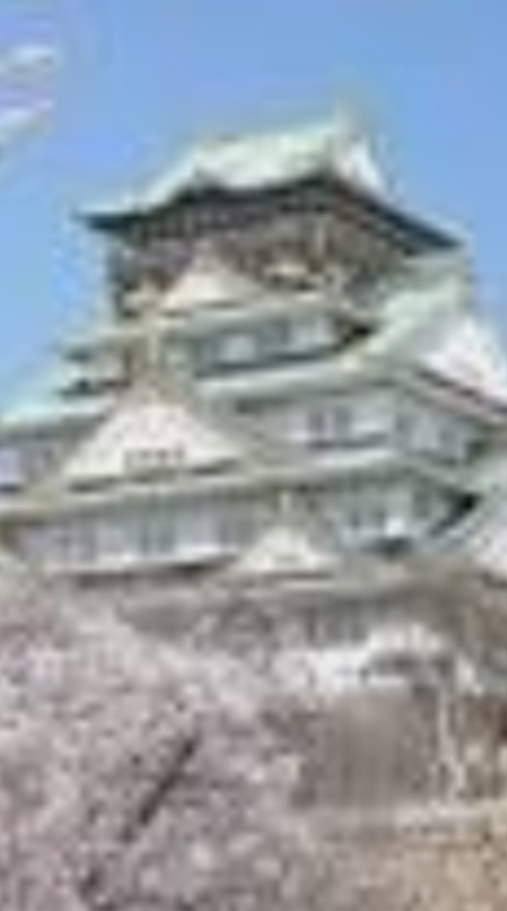 関西支部
