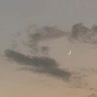 なんでも初心者絵師(屮ﾟ□ﾟ︎)屮 ｶﾓｰﾝ