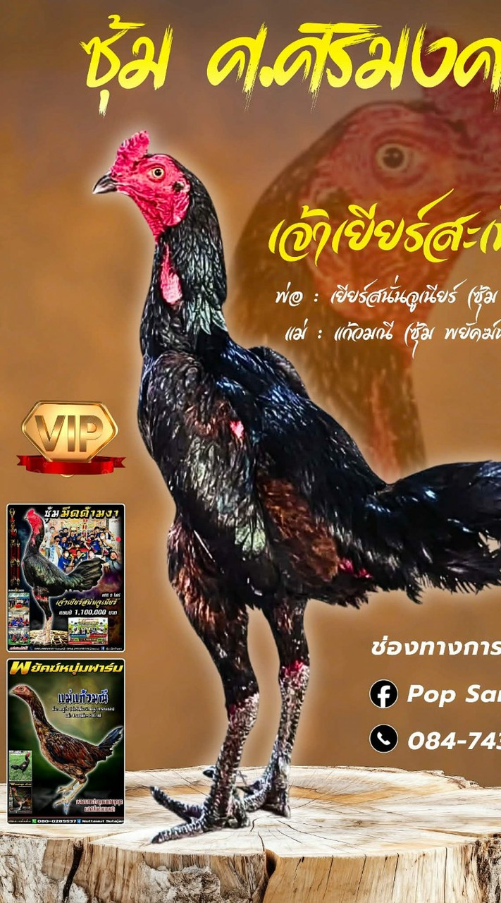 ซุ้ม ศ.ศิริมงคล อุดรธานี