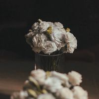 Bonus的暖心交易群🏡