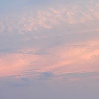 樂舞社