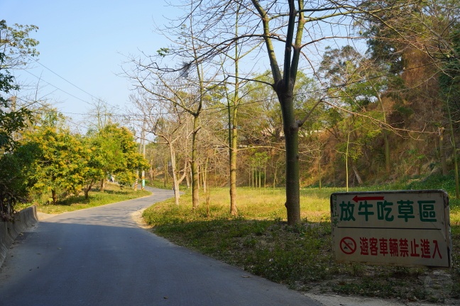 彰化休閒景點,彰化免費景點,彰化免門票景點,彰化好好玩,彰化情侶約會,彰化景點,彰化無料景點,彰化親子景點,彰化賞花景點,彰化踏青景點,彰化農場,彰化黃花風鈴木,日月山景休閒農場,日月山景休閒農場交通方式,日月山景休閒農場停車資訊,日月山景休閒農場免門票,日月山景休閒農場油桐花,日月山景休閒農場菜單,日月山景休閒農場門票