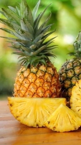 🍍四国地域🍍中国地域🍍30代40代50代🍍ライブトーク🍍楽しい雑談🍍素敵なオフ会🍍