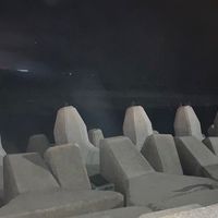 淡花清香台股窩