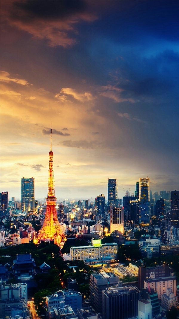 【総合商社/専門商社】一般職・事務職志望向けグループ