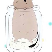 デグー飼っている人集まれ〜！