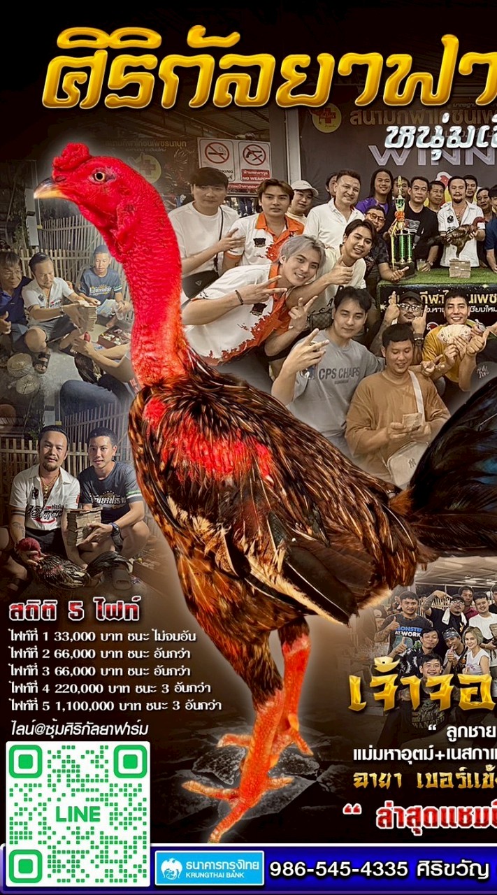 นัด ซุ้มวังเสือ