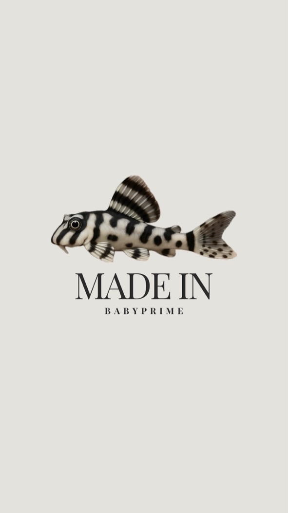MADE IN BABYPRIME