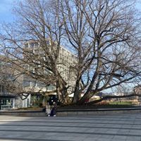 ROO聖劍
