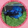 Lukkaew Betta & Guppy Farm