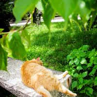 九州フォトウォーク