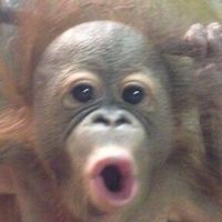 ゆる雑談部屋