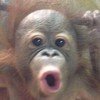 ゆる雑談部屋