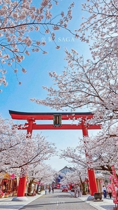 天天逛旅展⛩️高CP值旅遊行程🌸雙向旅遊