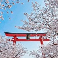 天天逛旅展⛩️高CP值旅遊行程🌸雙向旅遊