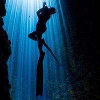 Ms. Ocean｜聊聊世界潛旅&潛點分享（女子的海團員專屬）