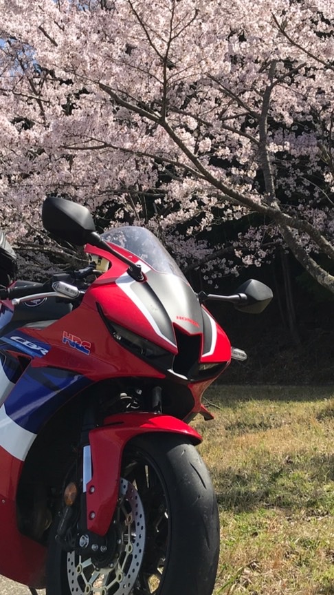 CBR600RRロクダボ