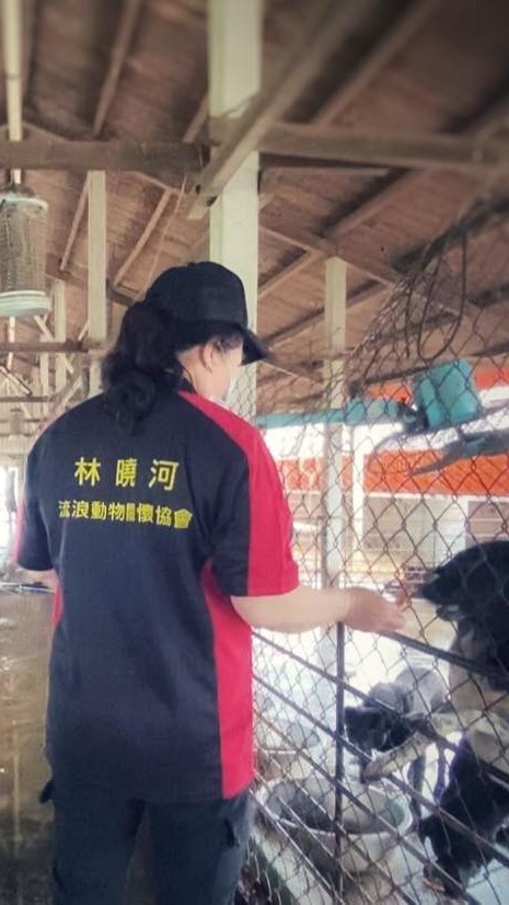 林曉河流浪動物關懷協會