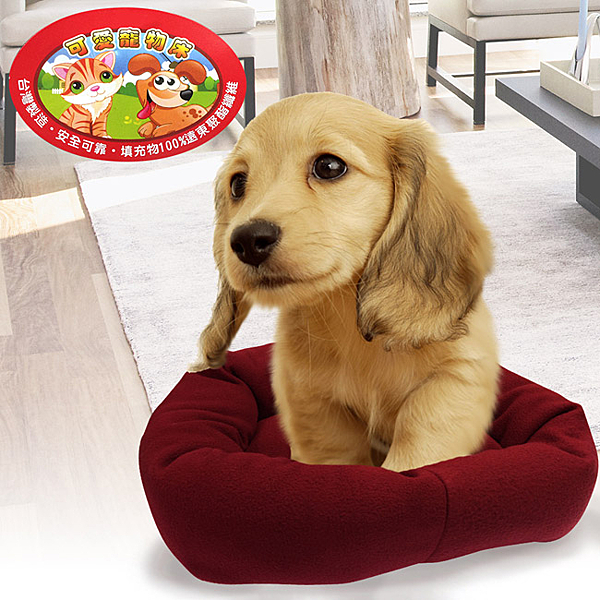 ■多色可選 ■遠東聚酯纖維 品質保證 ■MIT100%台灣製造