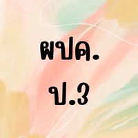 ผปค ป.3/2566
