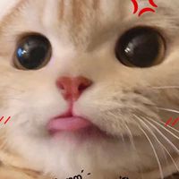 碧湖ᯅ̈՞ ՞