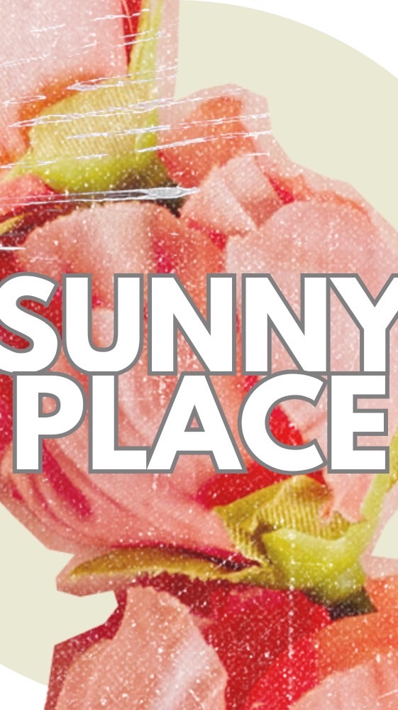 【SunnyPlace】ひとりビジネス入門オプチャ