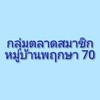กลุ่มตลาดสมาชิกพฤกษา70