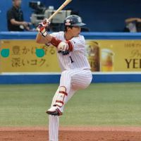 ヤクルトファン中学生