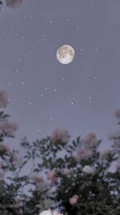 2人以外の時間を想うと 。【V0sg 緩也】