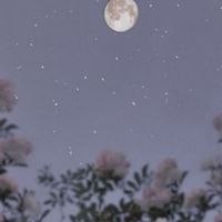 2人以外の時間を想うと 。【V0sg 緩也】