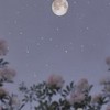 2人以外の時間を想うと 。【V0sg 緩也】