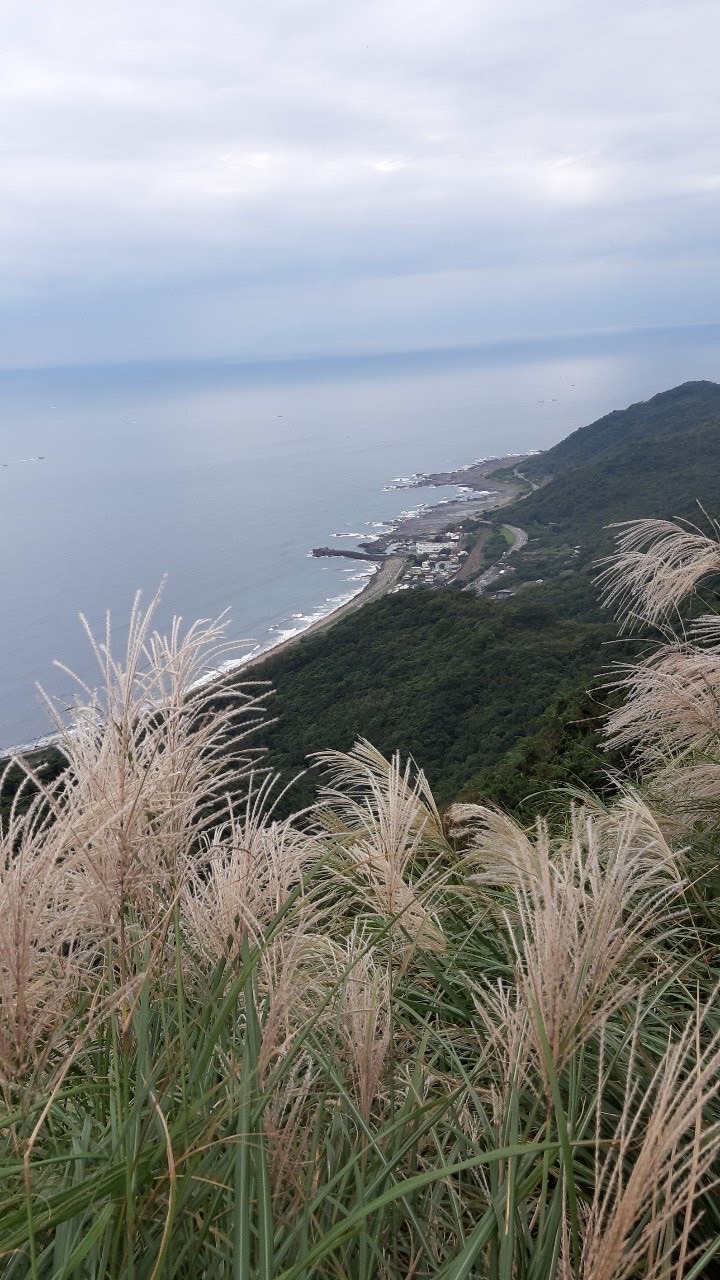 崇倫學苑