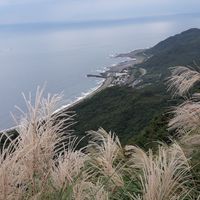 崇倫學苑