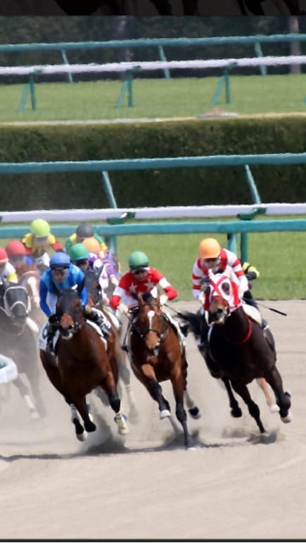 ダートラ競馬のオープンチャット