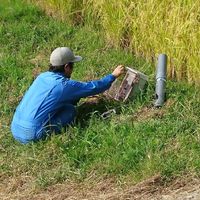 野生動物被害対策