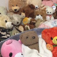🧸テディ部屋🧸