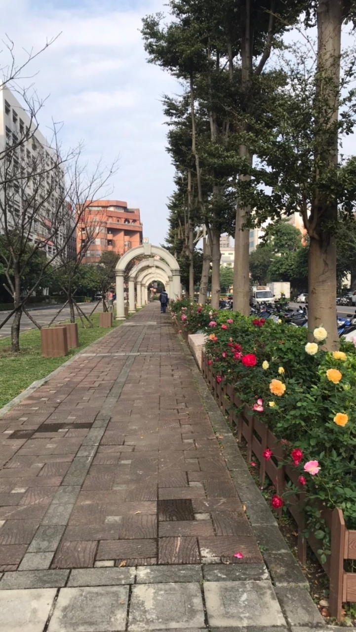 新北花園美食市集