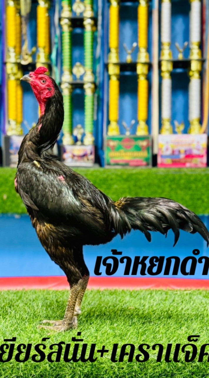 ส.สุภาพรฟาร์ม  เหล่าไอ้หนูแข็งพิเศษ