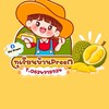 ขายส่ง_ทุเรียนเบญจพรรณ