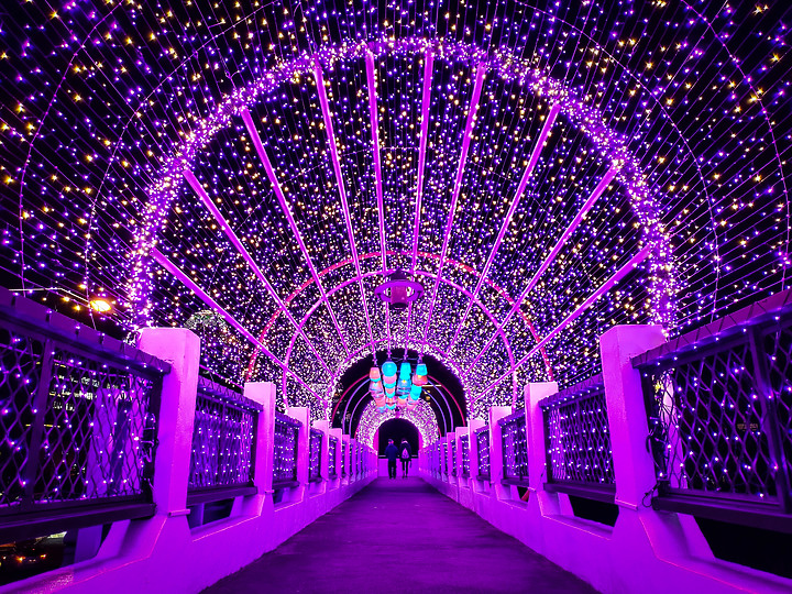 ASUS ZenFone6 使用一年的心得：拍攝倒影的最佳利器 (圖多)