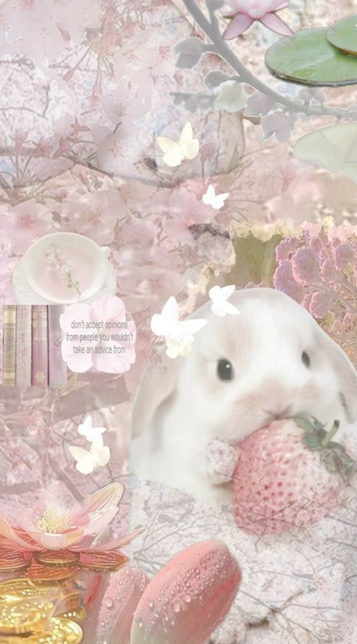 𐙚 ปั้มฟอล'ไลค์ 𓍼  𑣲 𝓒𝓱𝓾𝓽𝓲𝓶𝓪 ₊ ⊹